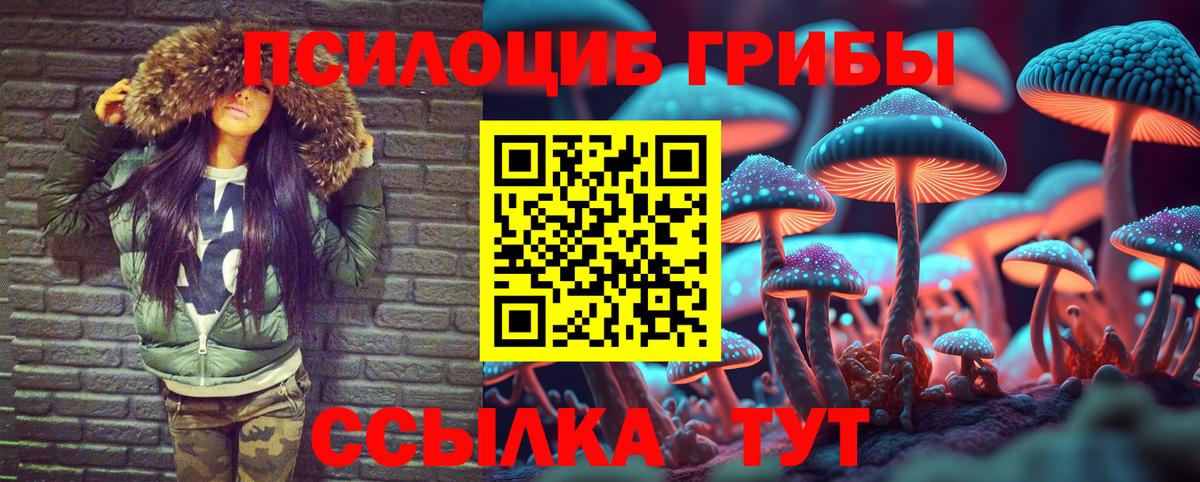 Псилоцибиновые грибы MAGIC MUSHROOMS  Вход с VPN  Тимашёвск 